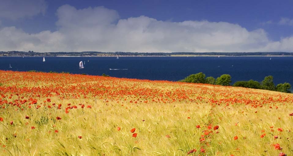 二十四节气中的处暑 -- sodapix/F1Online RF/Photolibrary &copy; (Bing China)