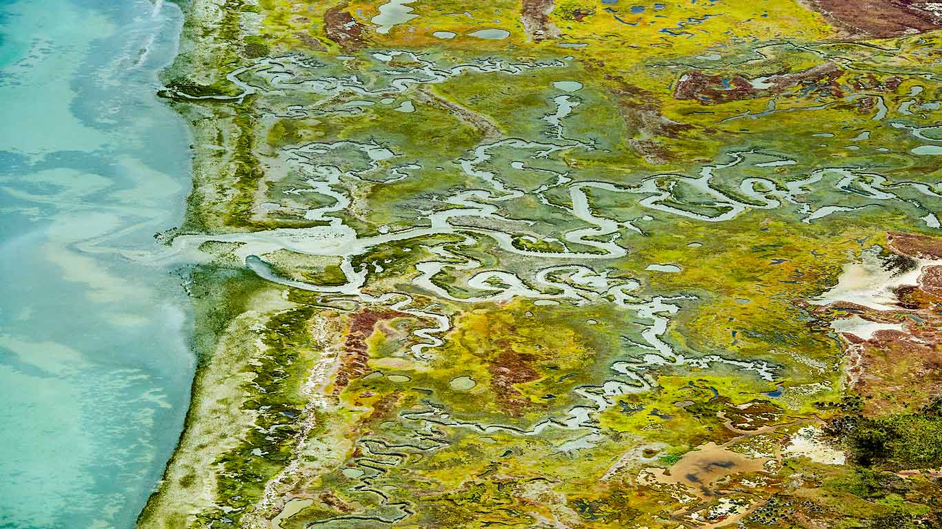 南非西海岸国家公园，兰格班泻湖 (© Peter Chadwick/Science Photo Library)(Bing China)