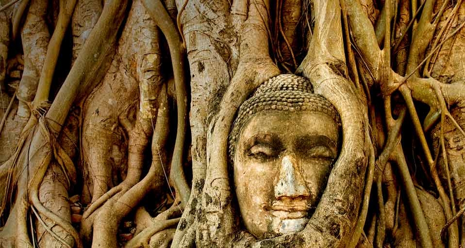 泰国艾尤塔雅的著名景观，树根环抱佛头 -- Thom Lang/Corbis &copy; (Bing China)