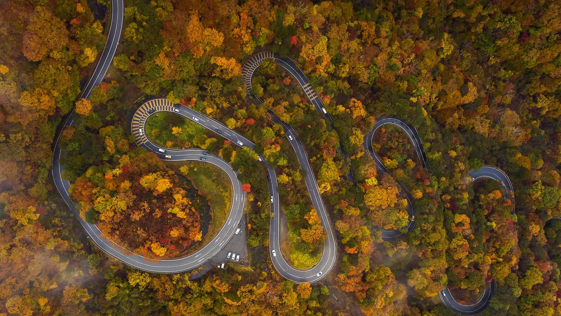 伊吕波坂山道，日本日光市 (© LightRecords/Shutterstock)(Bing China)