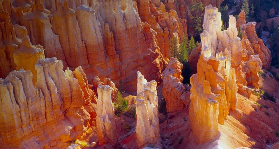 美国犹他州的布莱斯峡谷国家公园 -- Imagebroker rf/Photolibrary &copy; (Bing China)