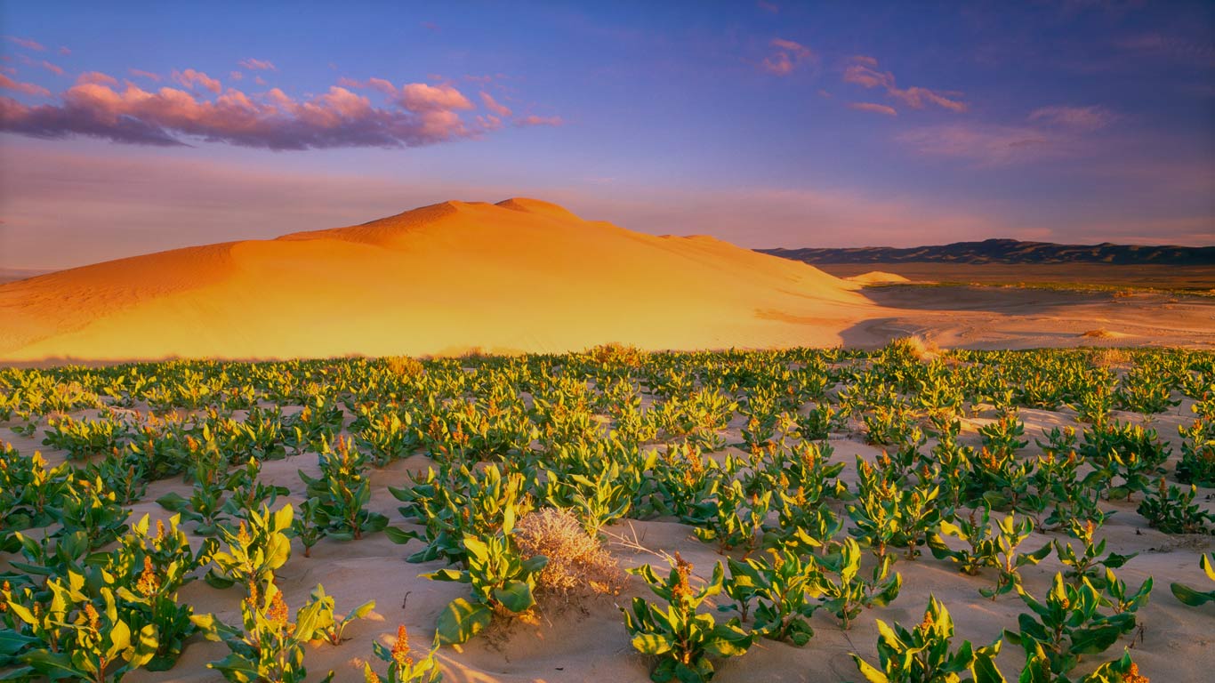 美国，华盛顿州，怀特布拉福斯荒野 (© Jon Cornforth/Danita Delimont)(Bing China)