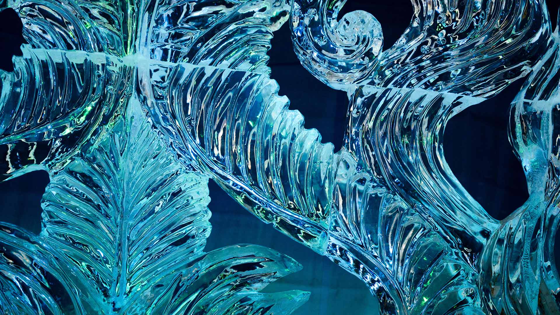 冰雪节上的冰雕艺术作品，加拿大渥太华 (© S. Garcia Cournoyer/Alamy)(Bing China)