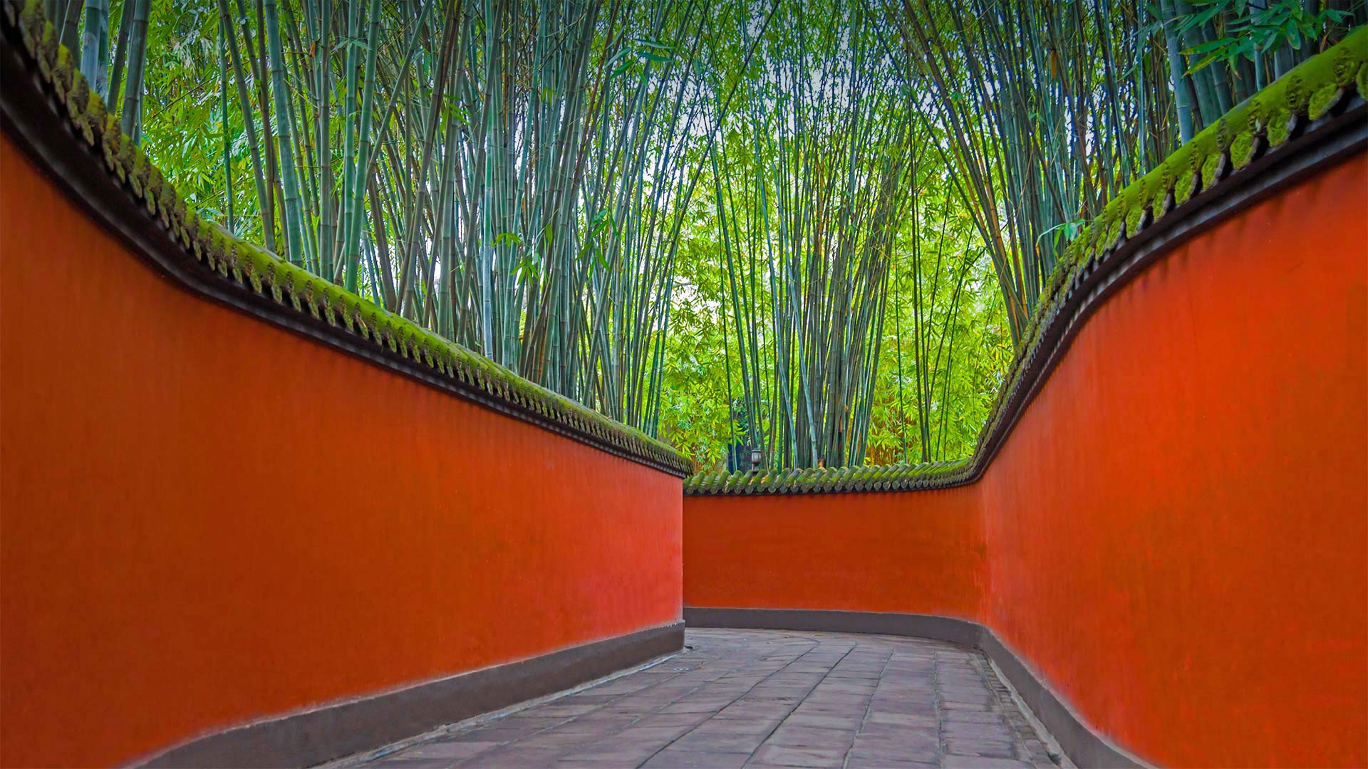 武侯祠内红墙和竹林掩映下的小巷，中国成都 (© Eastimages/Getty Images)(Bing China)