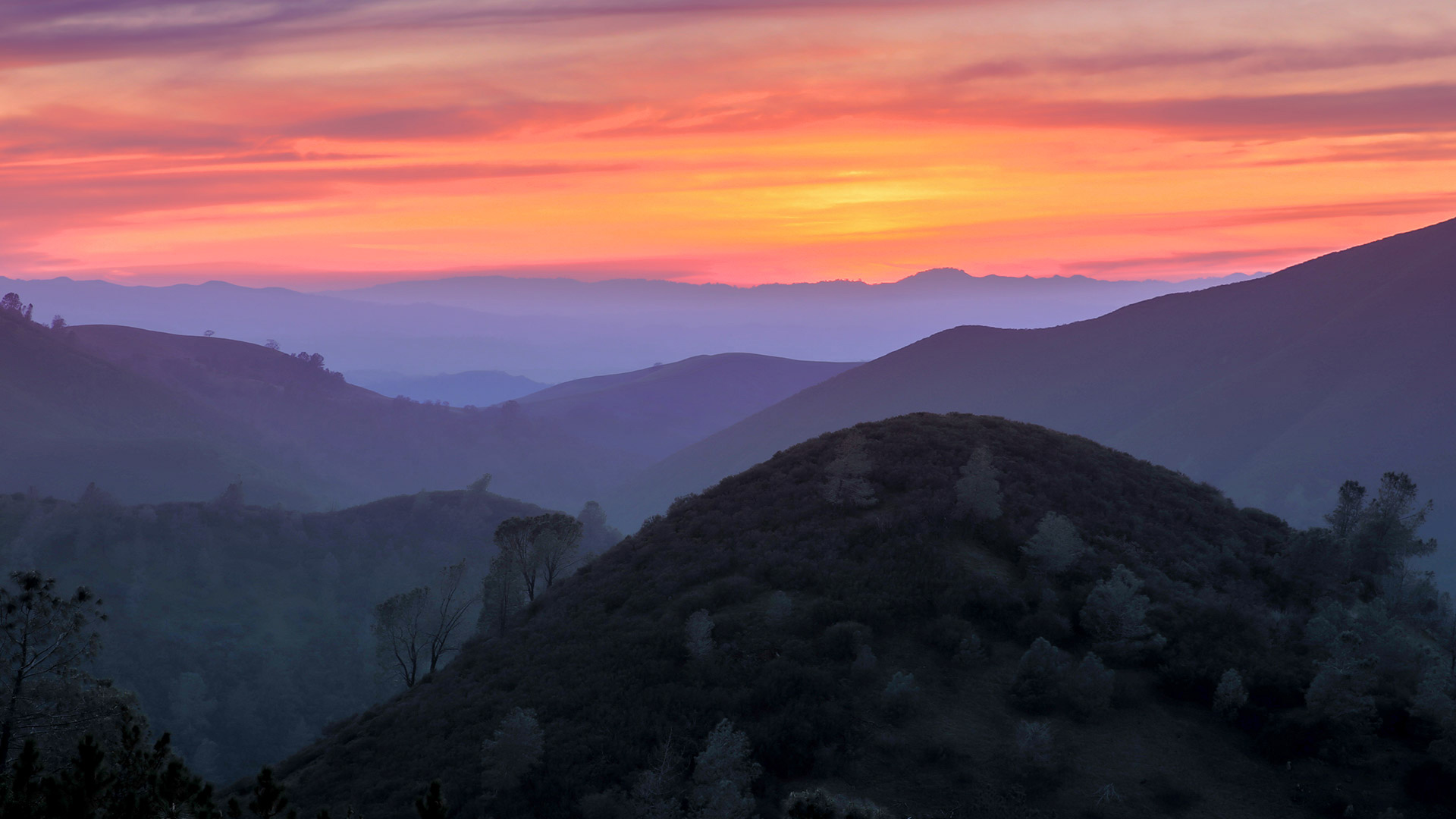 代阿布洛峰州立公园，加利福尼亚 (© Yuval Helfman/Getty Images)(Bing China)