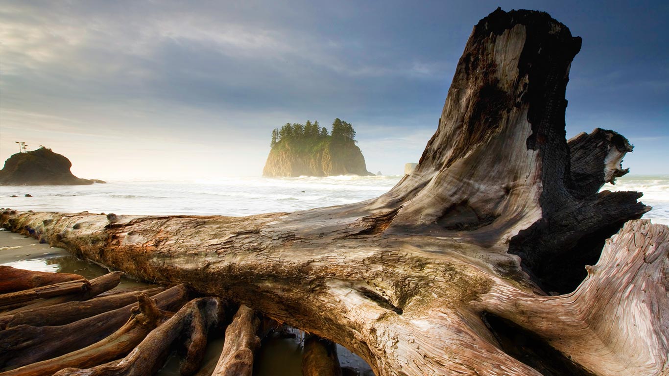 美国华盛顿州，奥林匹克国家公园与拉普什附近的第二滩 (© Ian Shive/Tandem)(Bing China)
