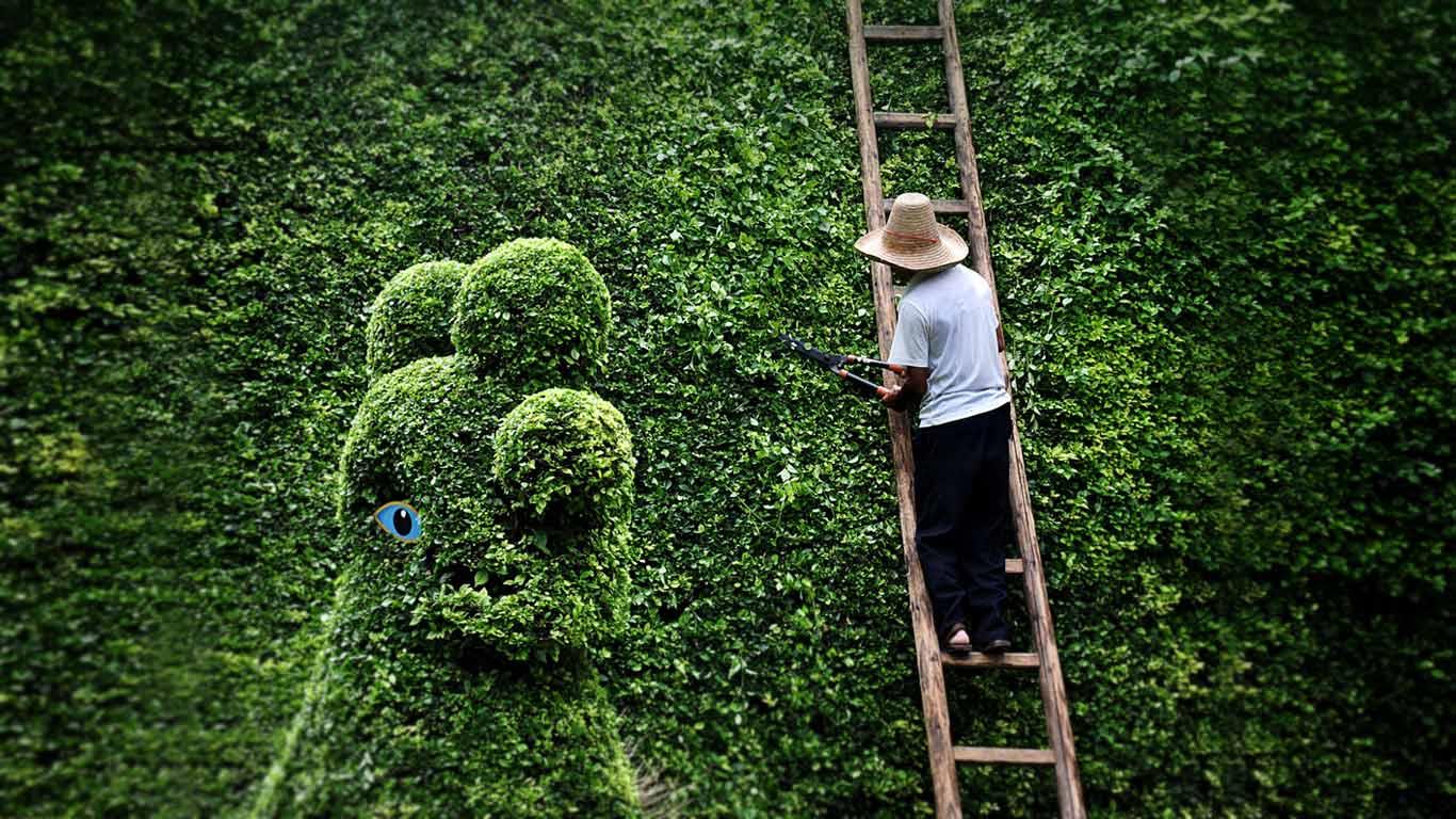 园艺 (© Riccardo Vallini Pics/Flickr/Getty Images)(Bing China)