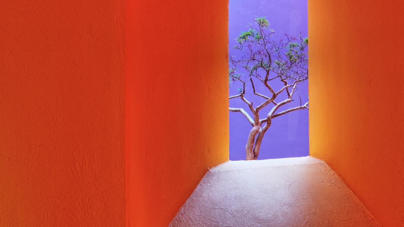 墨西哥卡波圣卢卡斯的橙色走廊 (© Jeremy Woodhouse/Aurora Photos)(Bing China)