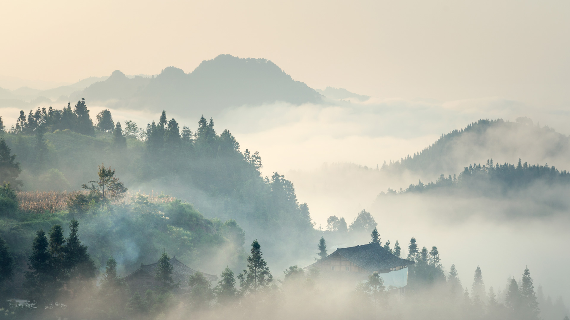 【今日清明】（ © yangphoto ）(Bing China)