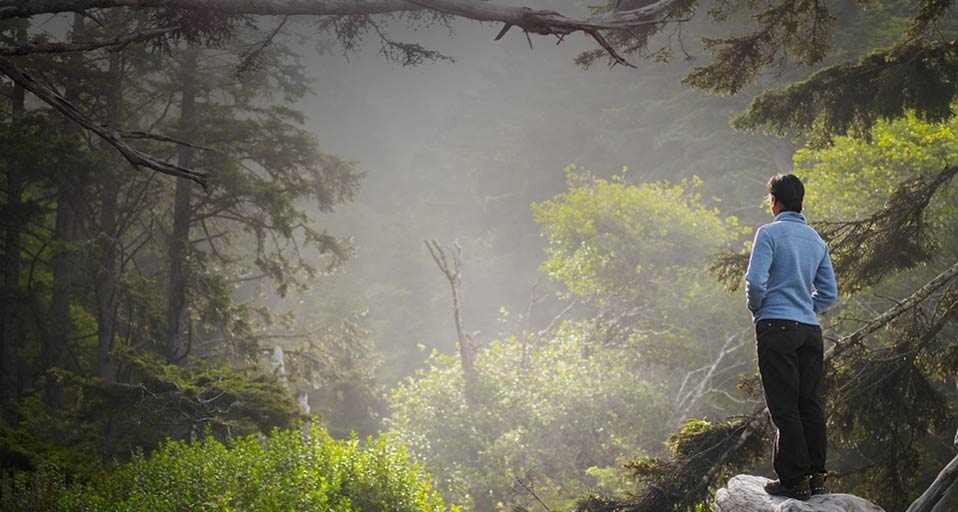 一起爱环保：植树造林防治沙漠化 -- China Tourism Press/Riser/Getty Images &copy; (Bing China)