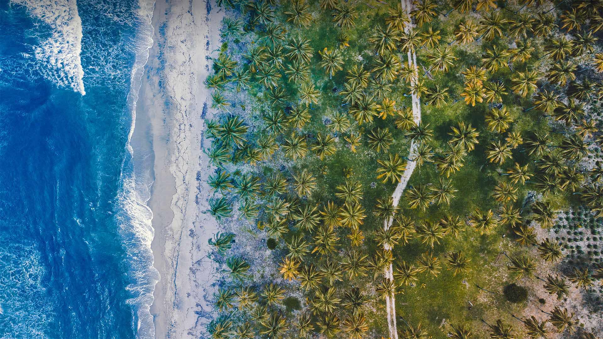 风景秀丽的加勒比海岸，哥伦比亚 (© Nicholas Hills/Getty Images)(Bing China)