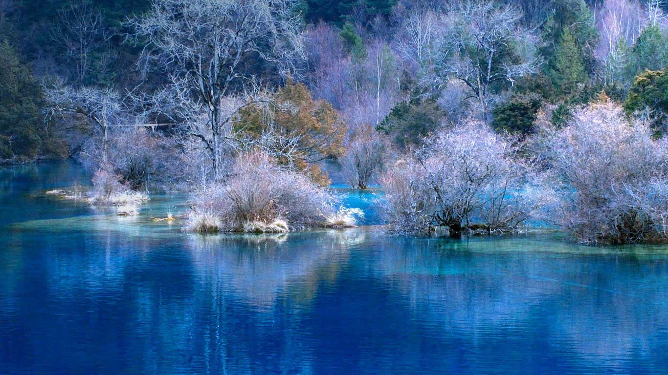 九寨沟的惊人美景 (© TCYuen/Flickr/Getty Images)(Bing China)