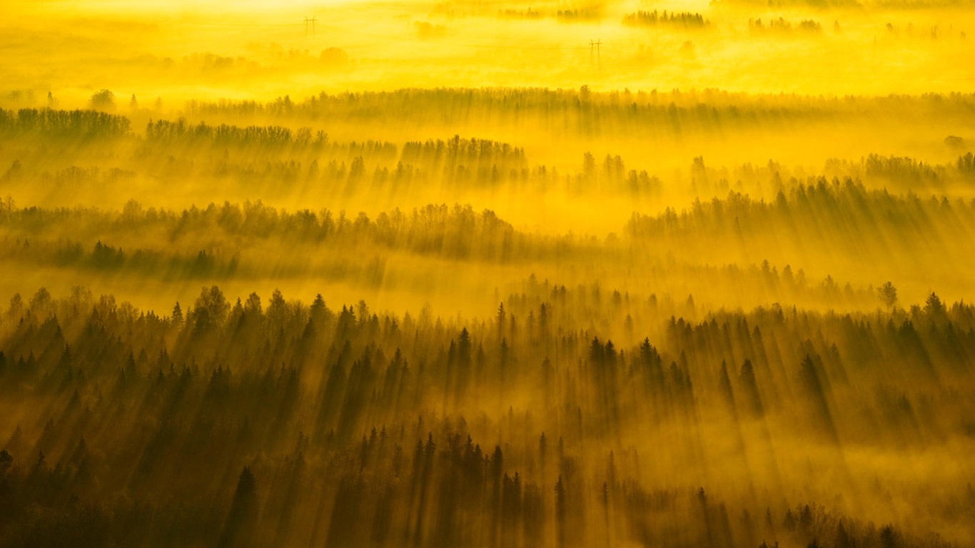 横跨塔尔图县的阳光，爱沙尼亚 (© Sven Zacek/Minden Pictures)(Bing China)