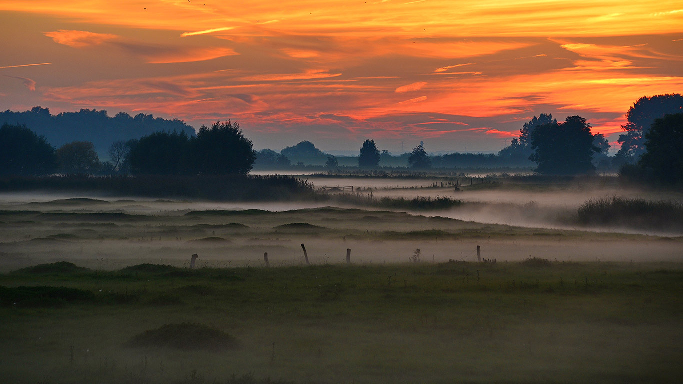 Wedeler Marsch, Wedel, Schleswig-Holstein, Deutschland (© Rüdiger Hess/geo-select FotoArt)(Bing Deutschland)