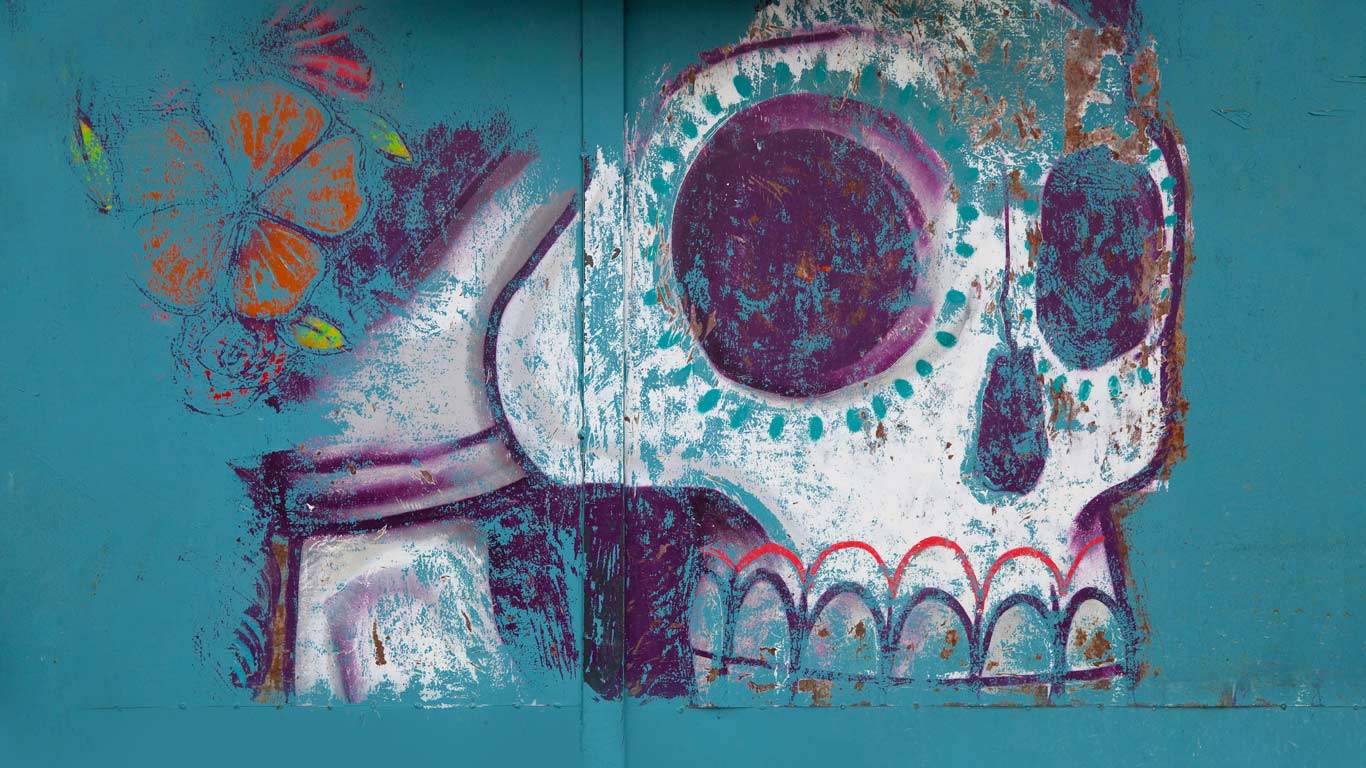 瓦哈卡的鬼节骷髅壁画，墨西哥 (© Judy Bellah/Alamy)(Bing China)