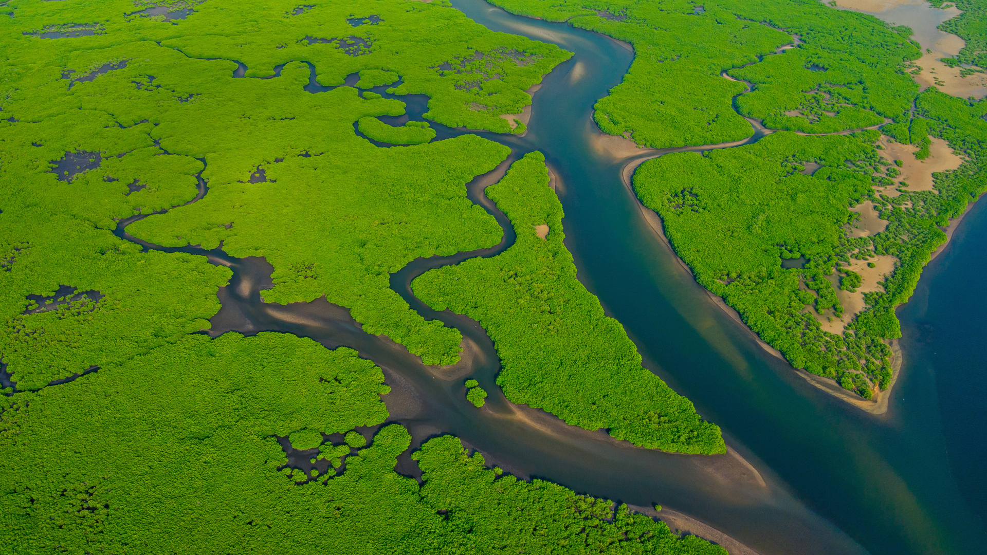 亚马逊河鸟瞰图，巴西 (© Curioso.Photography/Shutterstock)(Bing China)