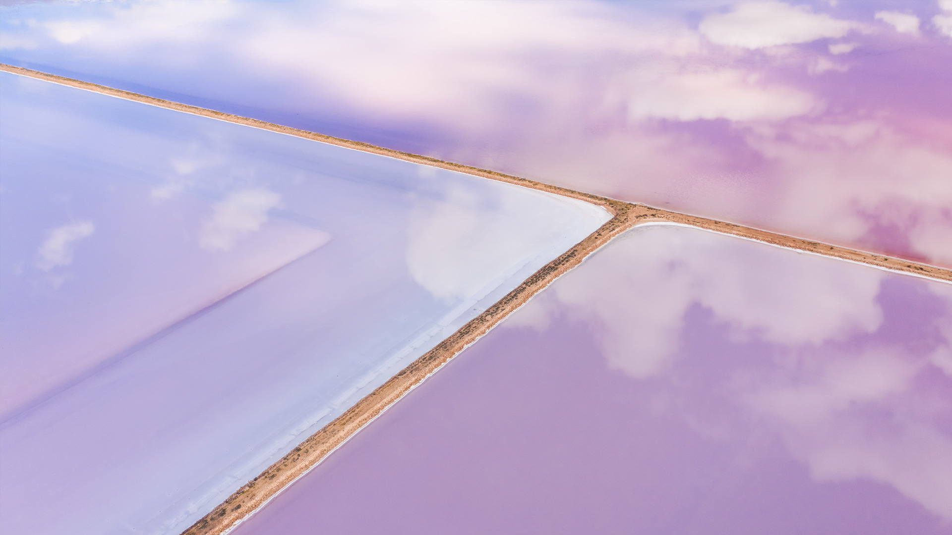 Aerial of pink salt lake in Lochiel, South Australia (© Amazing Aerial Agency/offset by shutterstock)(Bing Australia)