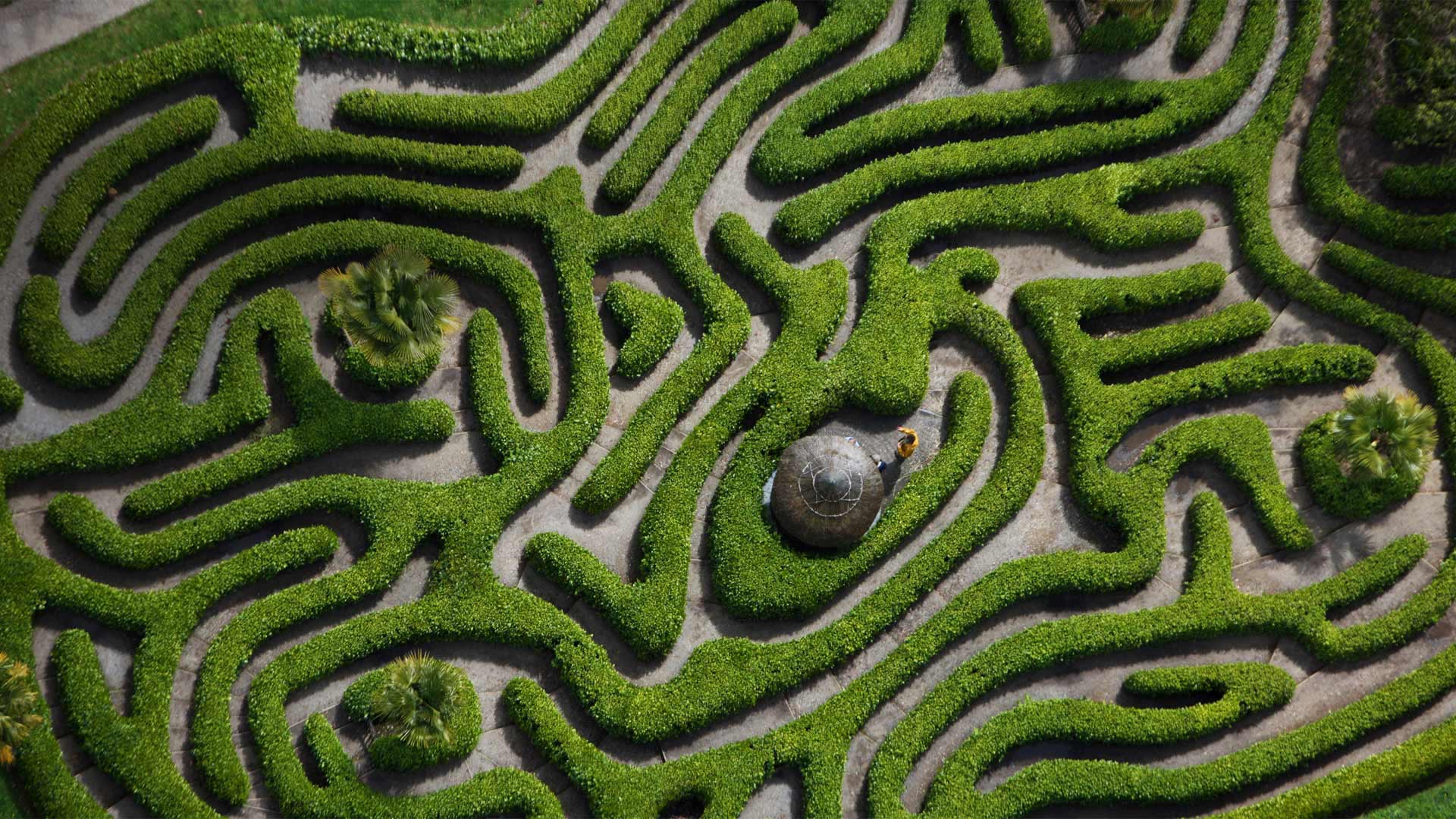格伦德根花园的樱桃月桂树迷宫鸟瞰图，英国康沃尔 (© Richard Cooke/Alamy)(Bing China)