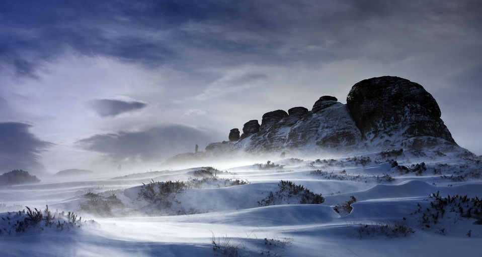 英国德文郡达特姆尔高原浓雾的早晨 --  David Clapp/Photolibrary &copy; (Bing China)