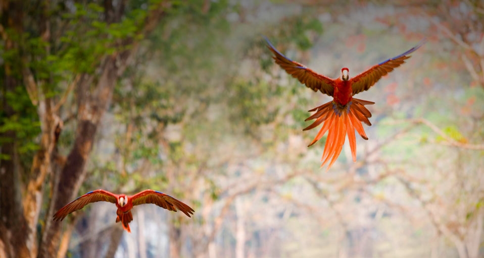 Gg/eStock Photo &copy; (Bing New Zealand)
