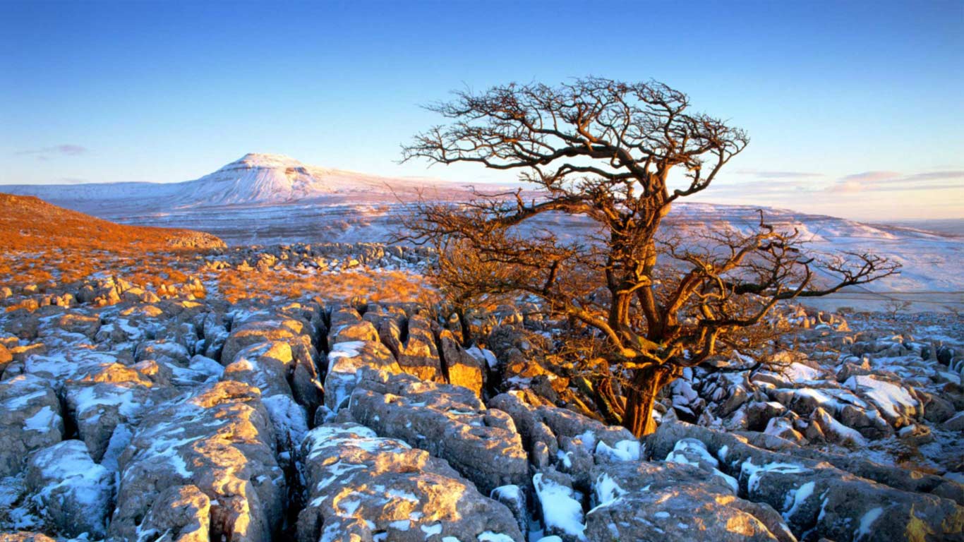 Landscape from Twisleton Scars, Ingleborough, Yorkshire (© Travel Library Limited/Superstock)(Bing Canada)
