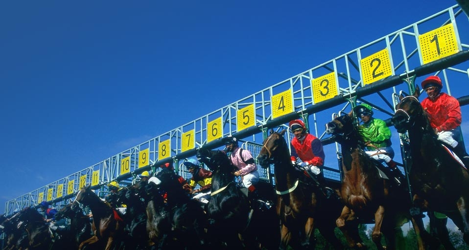 Jockeys leaving the starting gate -- Chris Cole/Getty Images &copy; (Bing Australia)