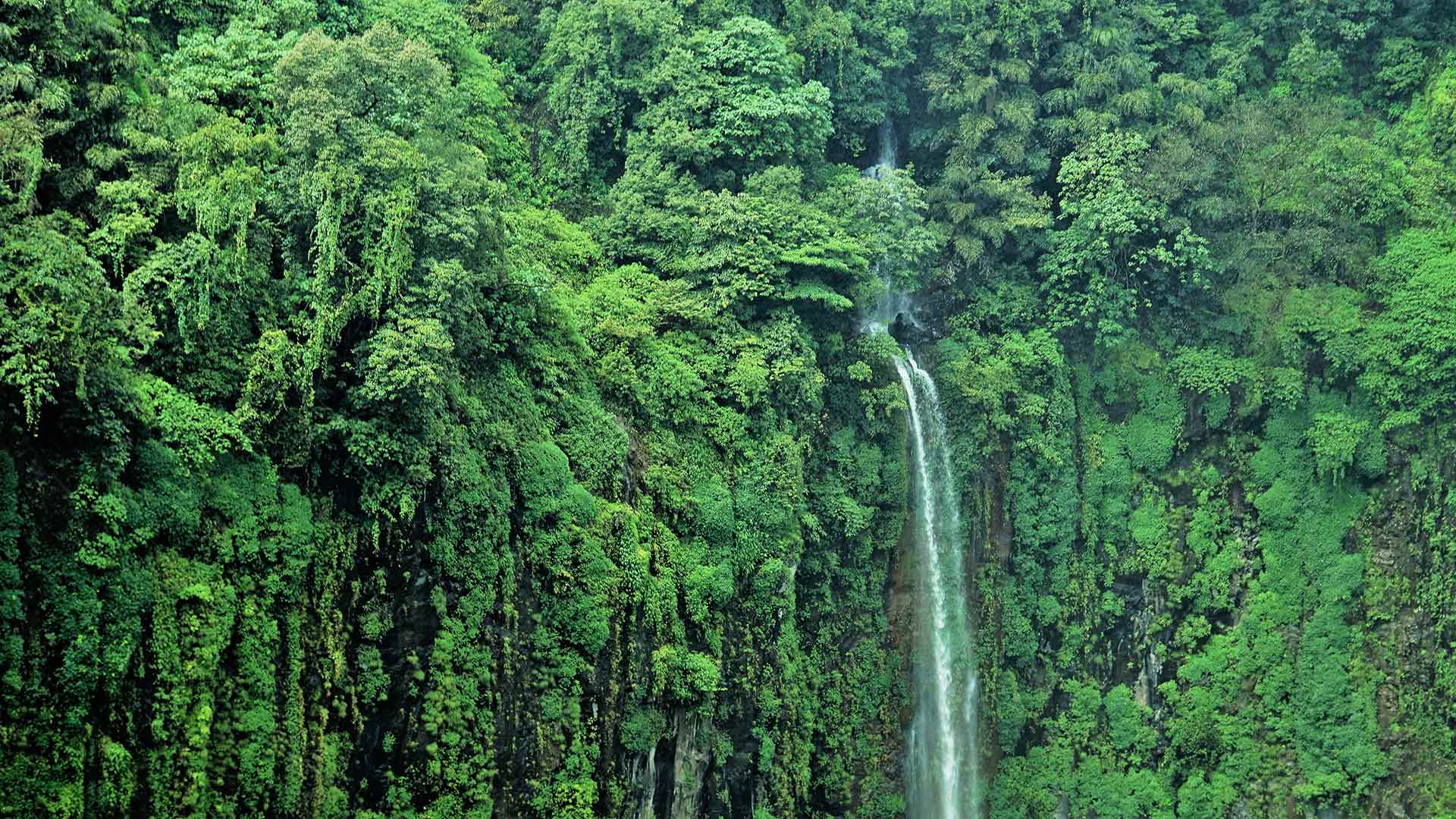 托塞加尔瀑布，印度马哈拉施特拉邦 (© Sonali Kumar/iStock/Getty Images Plus)(Bing China)