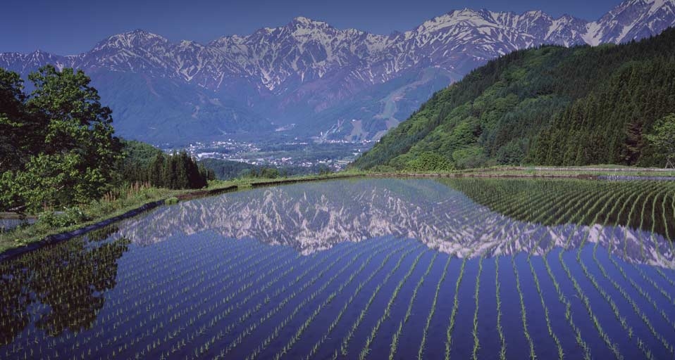 ｢北アルプスと青鬼棚田｣長野, 安曇郡 -- Japan Travel Bureau/Photolibrary &copy; (Bing Japan)
