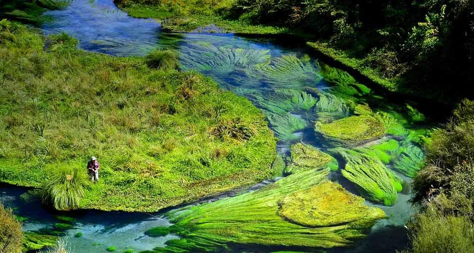 新西兰北岛的飞钓者 (© David Lambroughton/age fotostock) &copy; (Bing China)