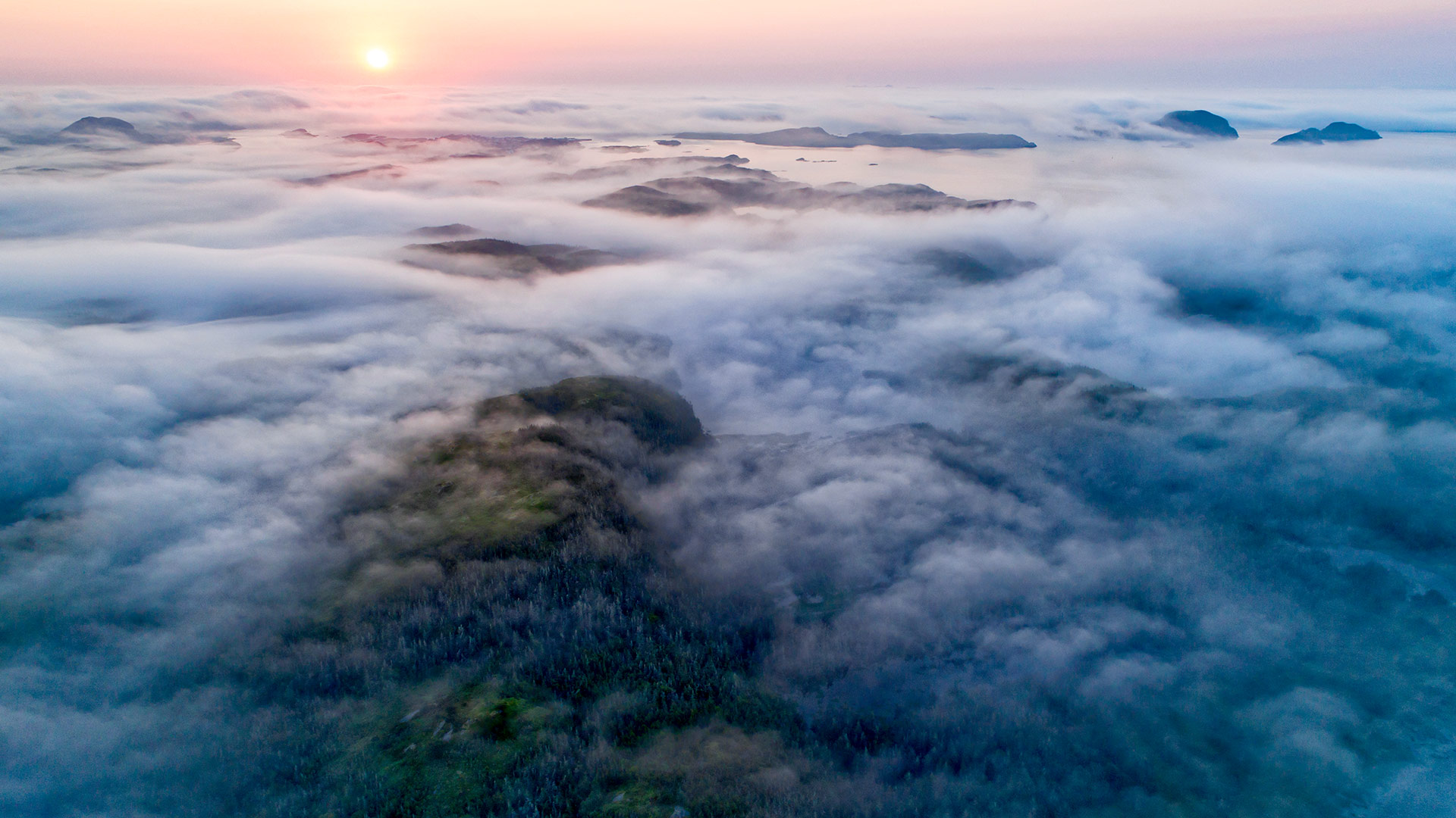 沿海的雾，加拿大纽芬兰 (© Scott Leslie/Minden Pictures)(Bing China)