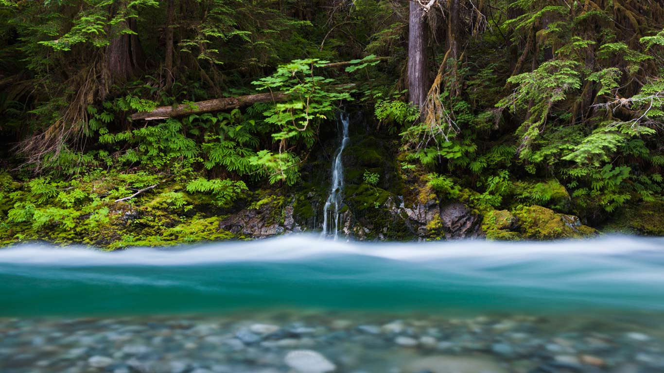 华盛顿，贝克山 - 斯诺夸尔米国家森林公园， 培根溪流 (© Ethan Welty/Tandem Stills + Motion)(Bing China)