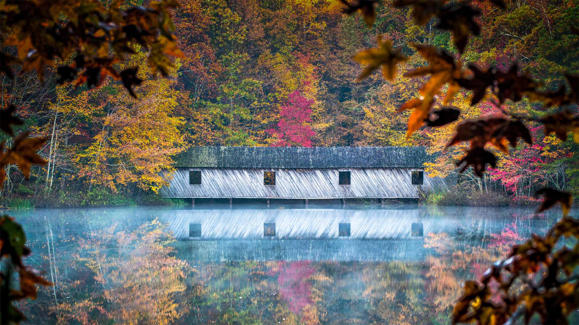 亨茨维尔附近绿色山公园中的Cambron Covered Bridge，阿拉巴马州  (© Jens Lambert/Shutterstock)(Bing China)