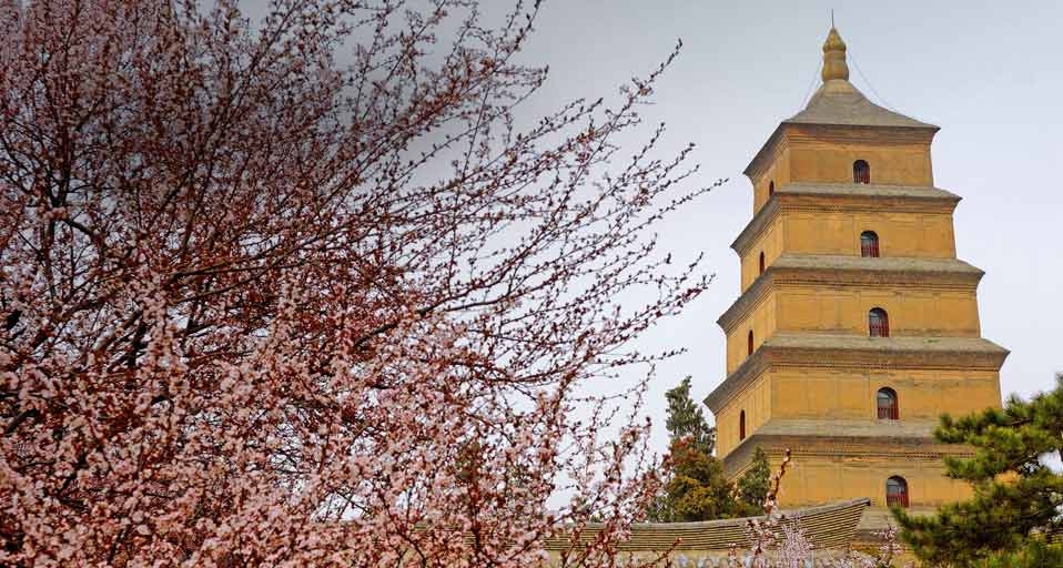 西安大雁塔 -- Bruno Barbier/Robert Harding Travel/Photolibrary &copy; (Bing China)