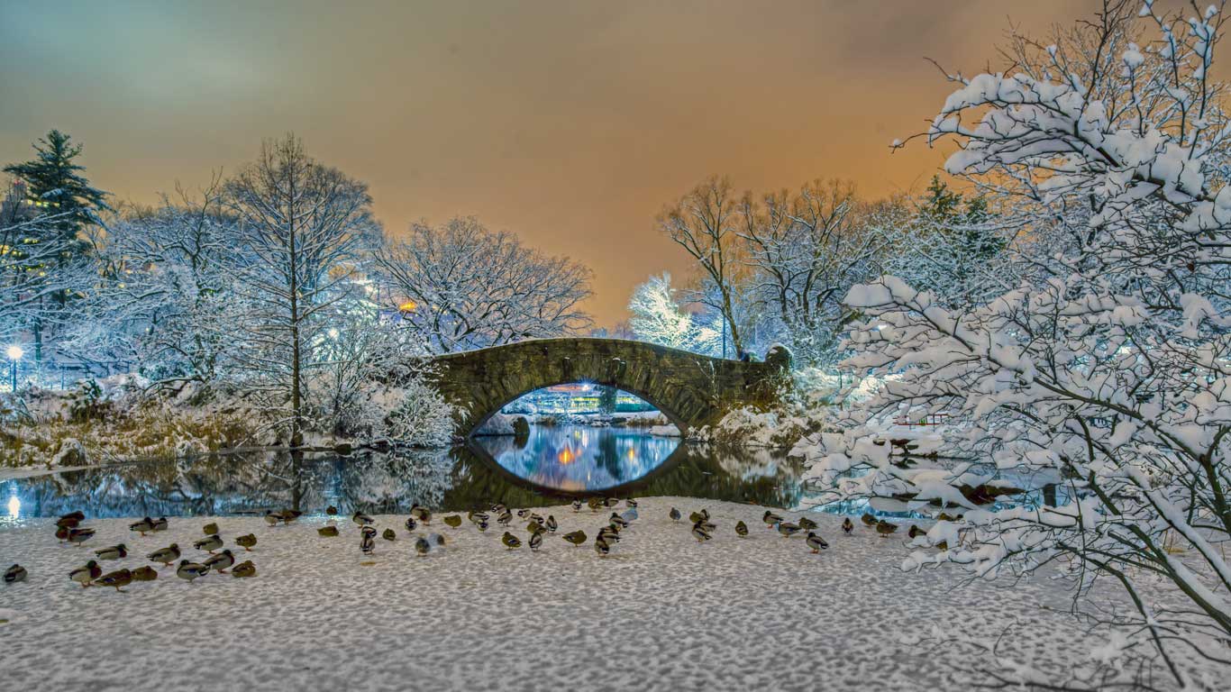 美国，纽约，中央公园里的盖普斯托拱桥 (© johnandersonphoto/iStock/Getty Images)(Bing China)