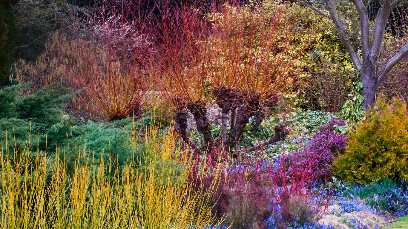 Cambridge University Botanic Garden, Cambridge, England (© Harpur Garden Library/Corbis)(Bing Canada)