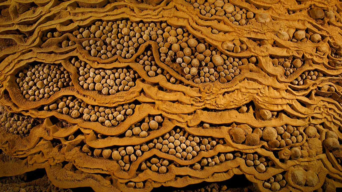 Rare cave pearls in Son Doong Cave at Phong Nha-Kẻ Bàng National Park, Vietnam (© Carsten Peter/Getty Images)(Bing Canada)
