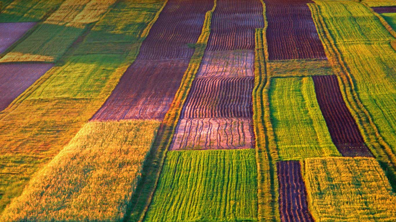 波兰，罗兹托切地区的有机农场 (© Marek Piotrowski/Alamy)(Bing China)
