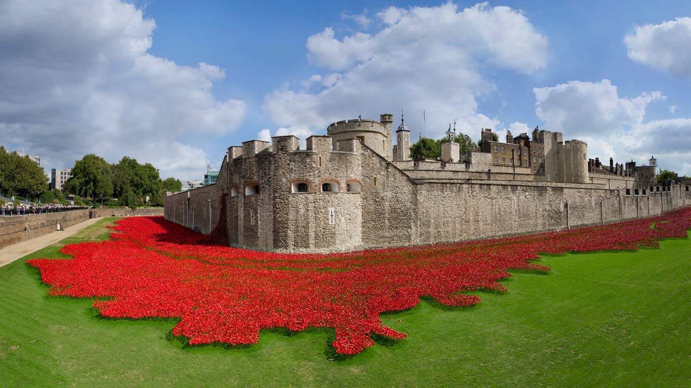 Tower of London surrounded by ceramic poppies, art installation created by Paul Cummins in honour of the 100th anniversary of the beginning of World War I, London, England (© Philip Sayer/Alamy)(Bing United Kingdom)