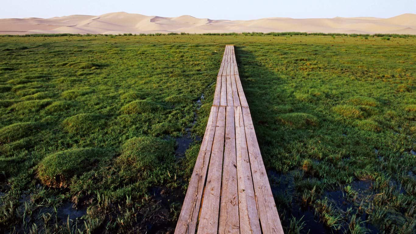 蒙古国戈壁沙漠干葛恩沙丘附近，沼泽地上方的桥 (© Franck Guiziou/Hemis/Corbis)(Bing China)