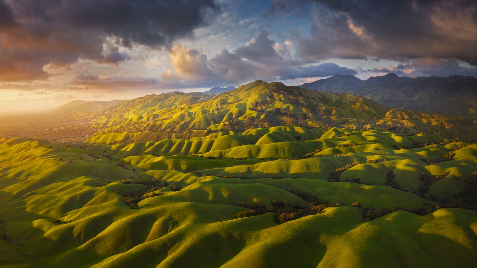 圣何塞附近的代阿布洛岭山麓，加利福尼亚 (© Jeff Lewis/Tandem Stills + Motion)(Bing China)