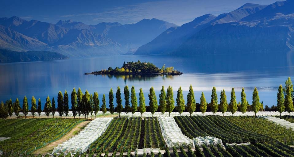 新西兰南岛中奥塔哥，瓦纳卡湖边上的里彭葡萄园 -- SIME/eStock Photo &copy; (Bing China)