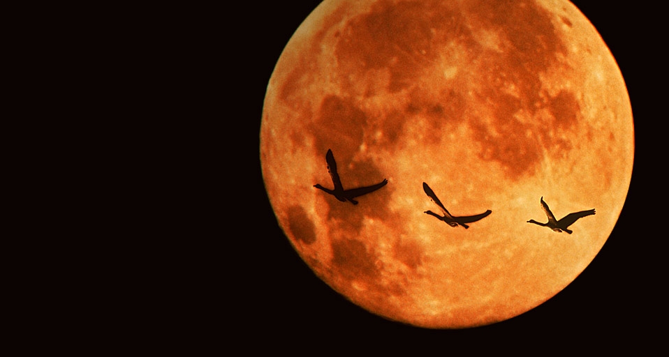 「月」 -- Tohoku Color Agency/getty images &copy; (Bing Japan)