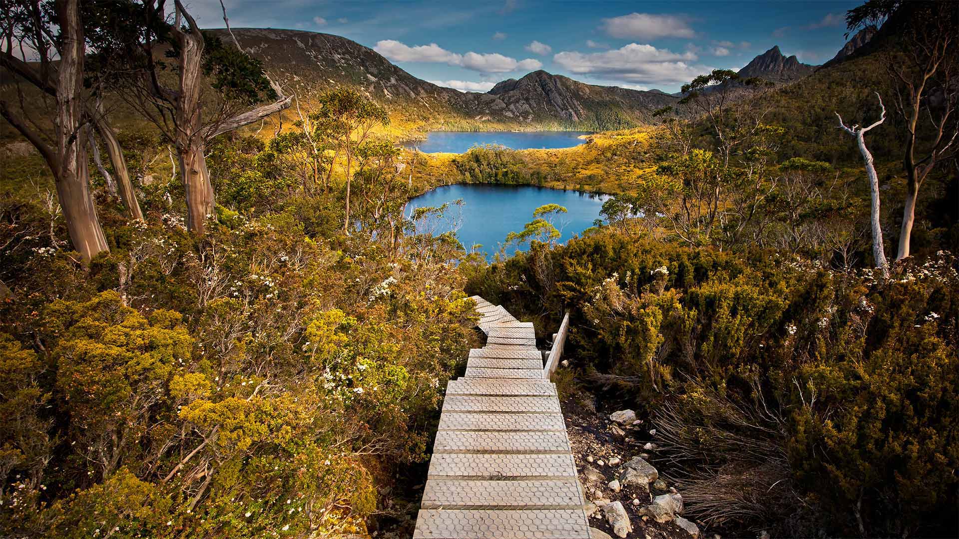 摇篮山-圣克莱尔湖国家公园，澳大利亚塔斯马尼亚州 (© Paparwin Tanupatarachai/Getty Images)(Bing China)