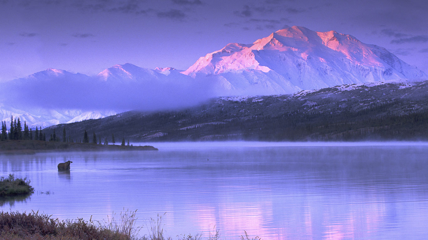 Moose wading in Wonder Lake, Denali National Park and Preserve, Alaska (© Ira Meyer/Getty Images)(Bing Canada)