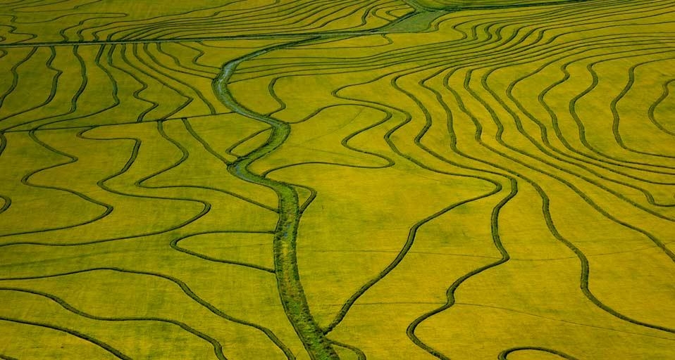 鸟瞰乌拉圭成熟的稻田 (© Guillermo Robles/Corbis) &copy; (Bing China)