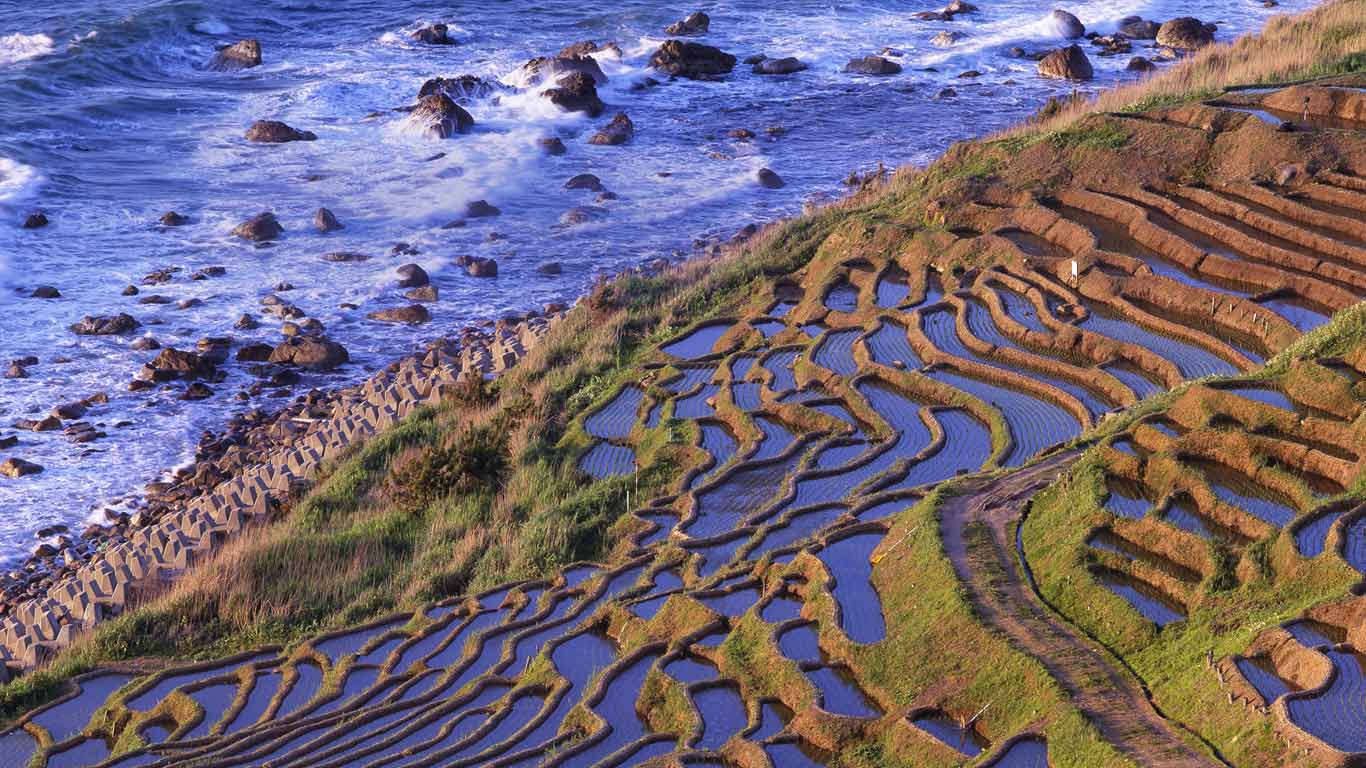 ｢白米千枚田｣石川, 輪島 (© JTB Photo/SuperStock)(Bing Japan)