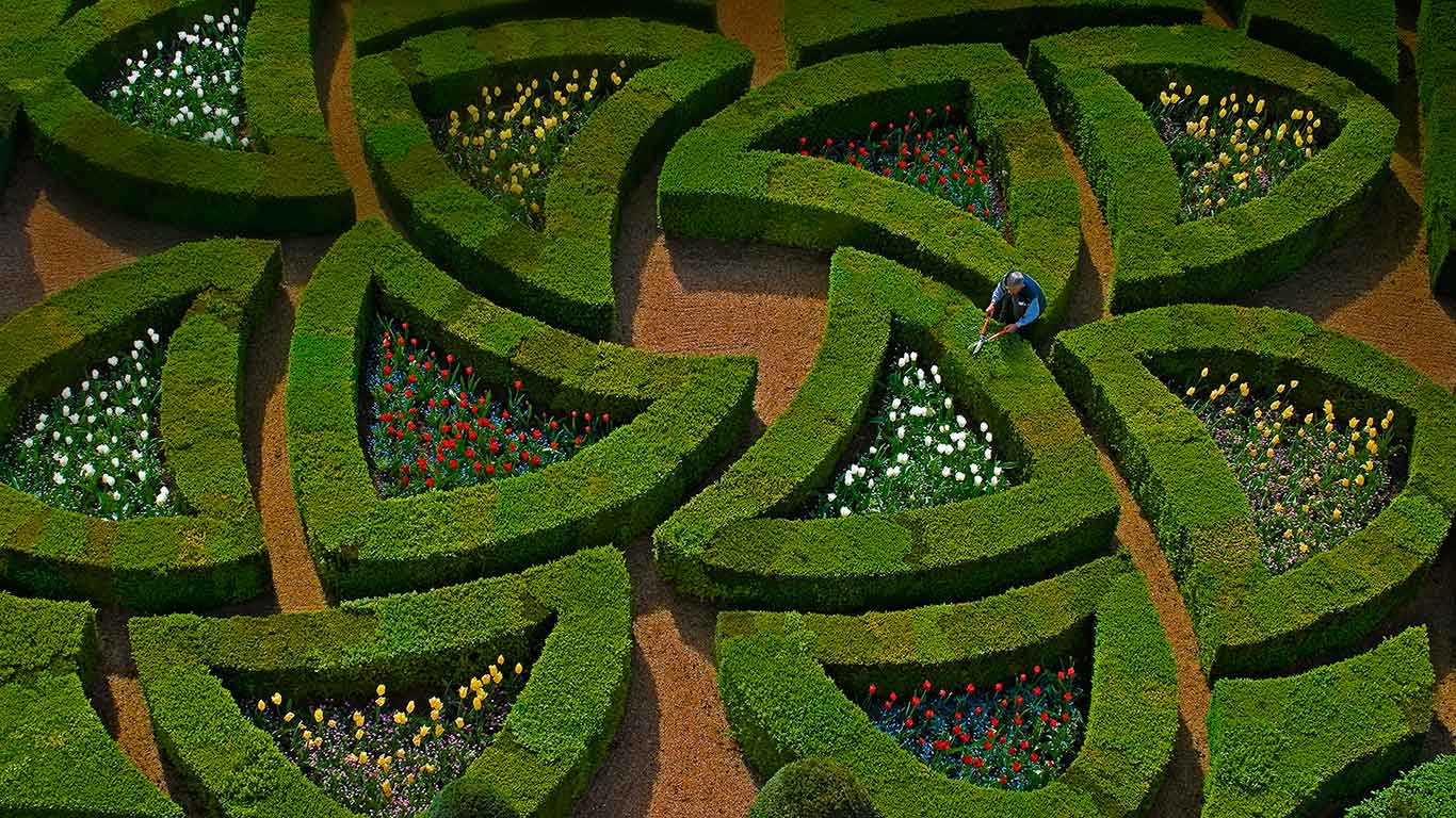 法国卢瓦尔河谷，维兰德里城堡的花园 (© Emilie Chaix/Getty Images)(Bing China)