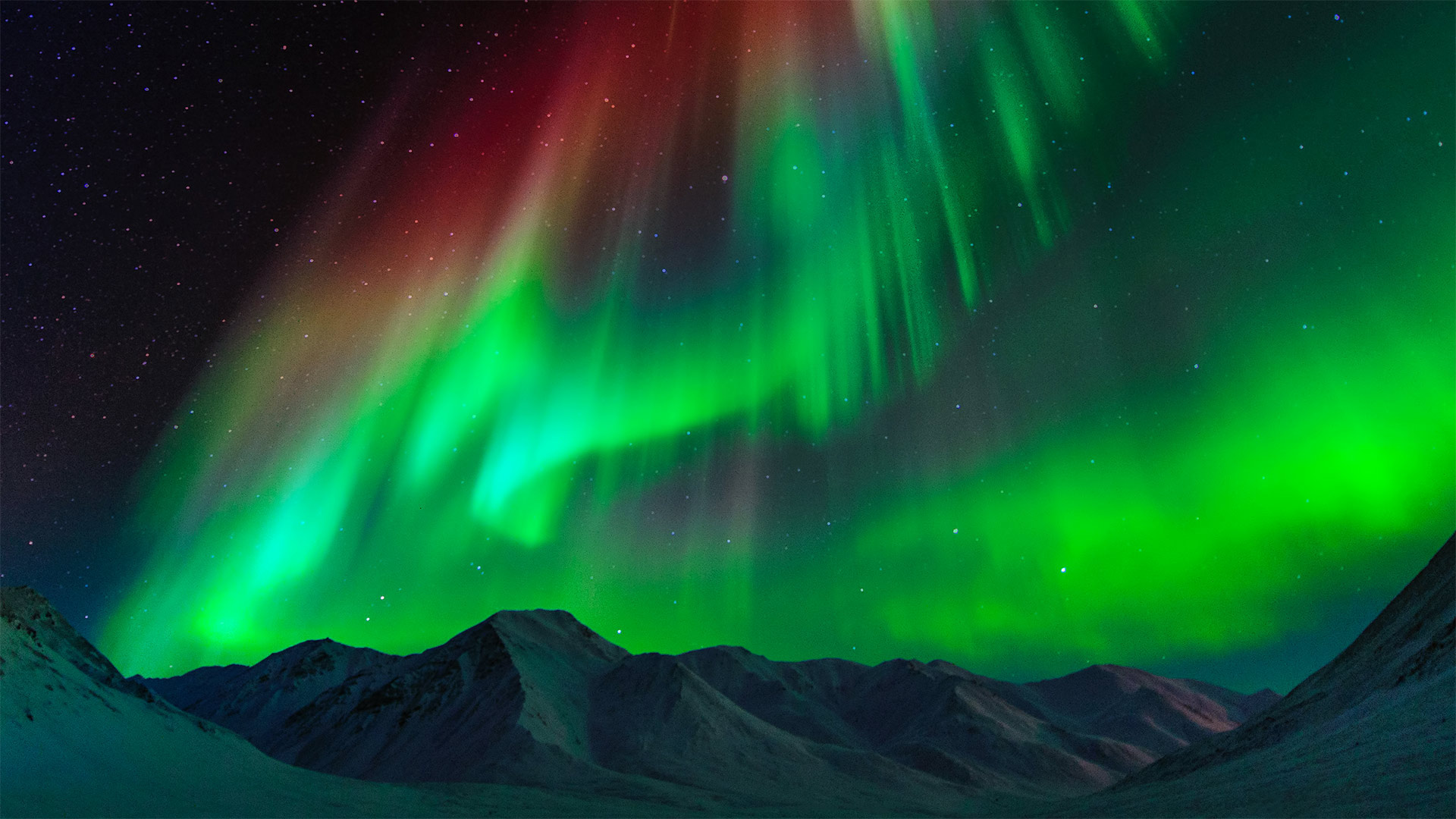 布鲁克斯山脉上空的极光，美国阿拉斯加州 (© Noppawat Tom Charoensinphon/Getty Images)(Bing China)