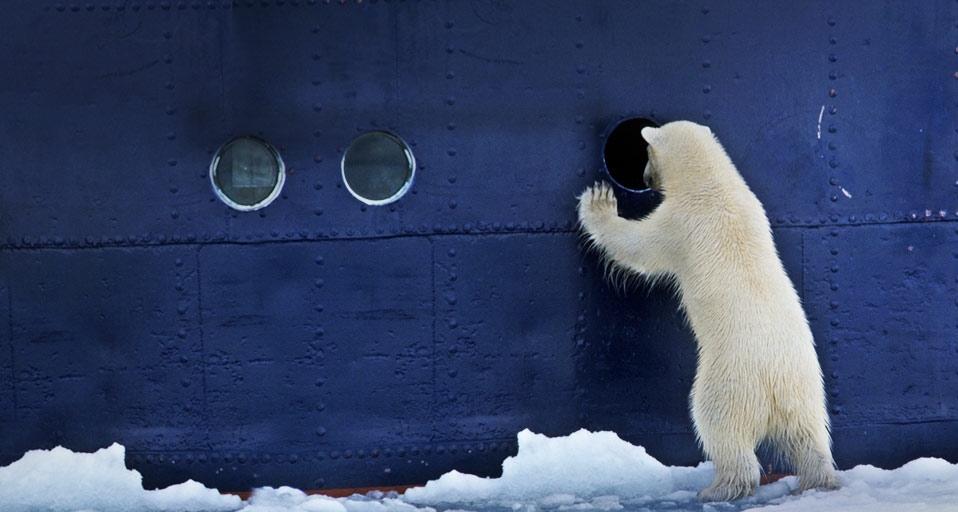 向船内偷窥的北极熊 (© Arndt Sven-Erik/ArTerra Picture Library/Age Fotostock) &copy; (Bing China)