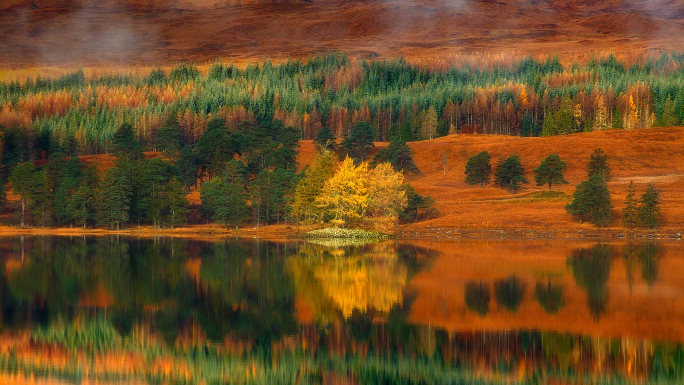 Larch trees at Loch Tulla in the Highlands of Scotland (© Fortunato Gatto/SIME/eStock Photo)(Bing New Zealand)